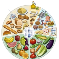 food groups