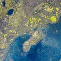 eutrophication