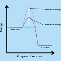 reaction profile