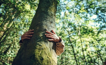 conserve