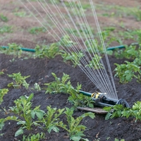 irrigation