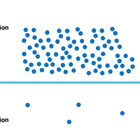 concentration gradient