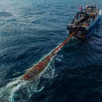 trawling