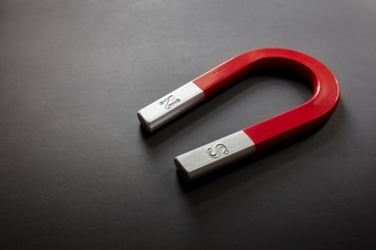 horseshoe magnet