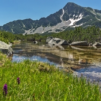mountain