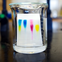 chromatography