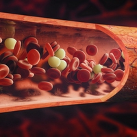 antibody