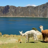 Ecuador