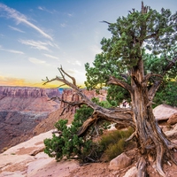 arid