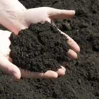 soil