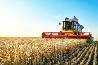 harvest