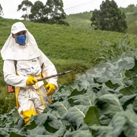 pesticide