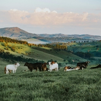 inland