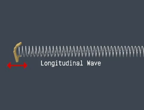 longitudinal