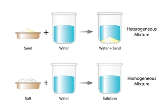 homogeneous