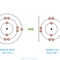 ion