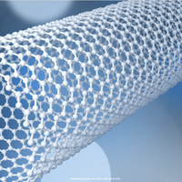 nanotube