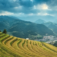大陆地壳